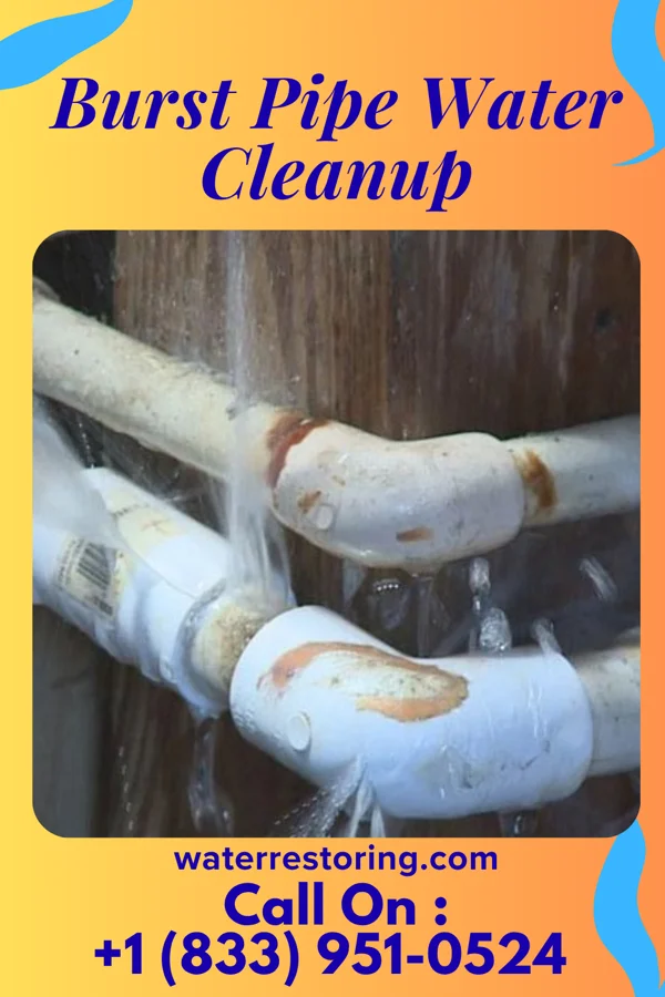 Burst Pipe Water Cleanup in Springville, UT