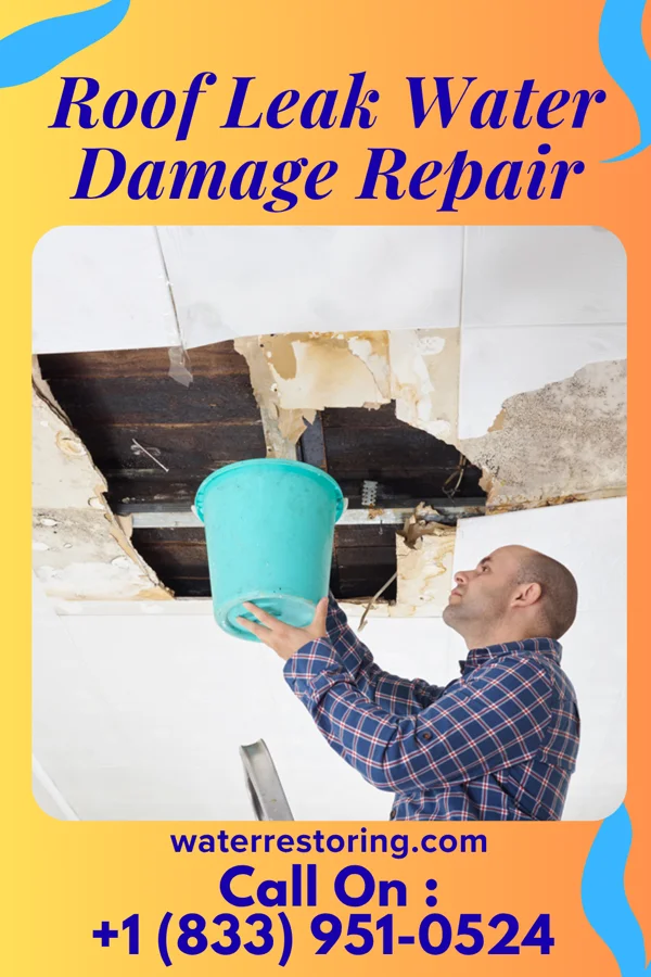 Roof Leak Water Damage Repair in Springville, UT